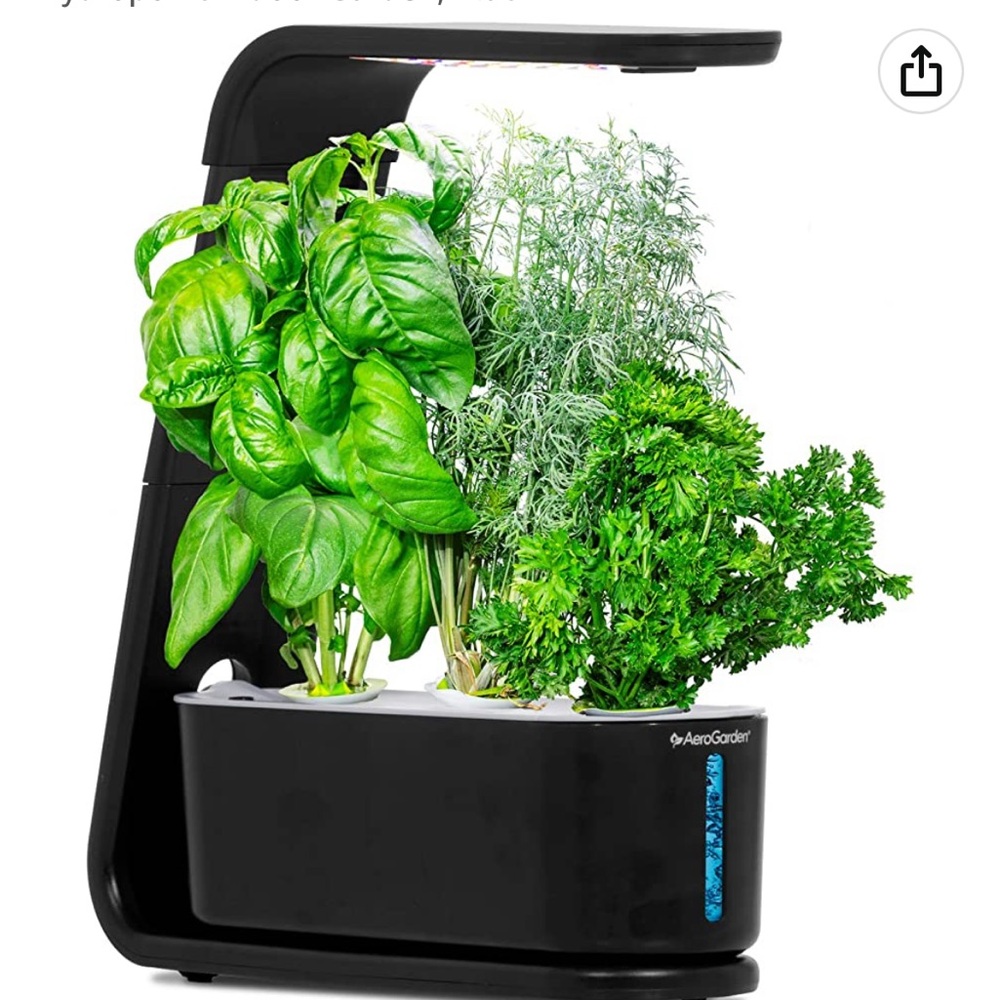 AEROGARDEN Sprout with 3 Pods, NWT
